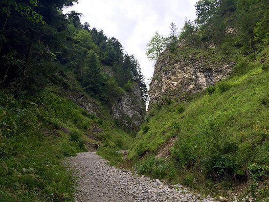 Wąwóz Szopczański